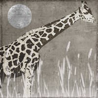 Moon Giraffe Fine Art Print