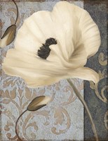 Poppy Brocade II Fine Art Print