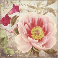 Aphrodite I Framed Print