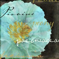 Blue Peony Dark Fine Art Print