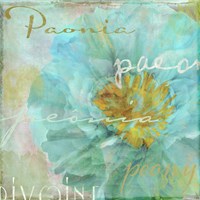 Blue Peony Light Fine Art Print