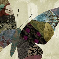 Butterfly Brocade IV Fine Art Print