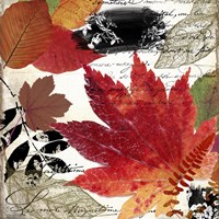 Equinox I Fine Art Print