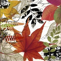 Equinox II Fine Art Print