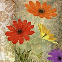 Fiesta I Fine Art Print