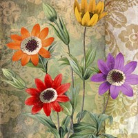 Fiesta II Fine Art Print