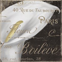 Fleurs Blanc I Framed Print