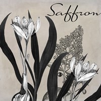 Flowering Herbs I Fine Art Print