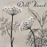 Flowering Herbs III Fine Art Print