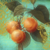 Glowing Fruits II Fine Art Print