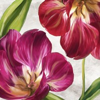 Open Arms I Framed Print