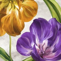 Open Arms II Fine Art Print