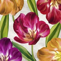 Open Arms III Framed Print