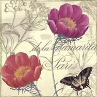 Petals of Paris I Fine Art Print