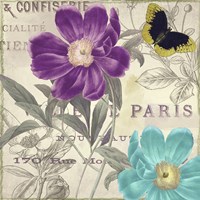Petals of Paris II Fine Art Print
