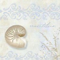 She Sells Seashells I Fine Art Print