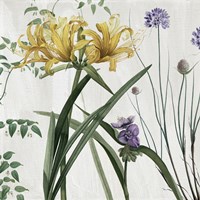 Softly IV Fine Art Print