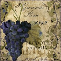Vino Italiano III Fine Art Print