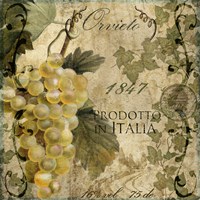 Vino Italiano IV Fine Art Print