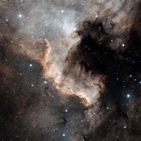 The North America Nebula by Charles Shahar - various sizes