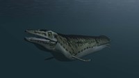 Mosasaur Swimming Fine Art Print