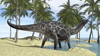 Dicraeosaurus in Shallow Water Fine Art Print