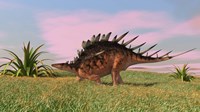 Kentrosaurus Walking across Grasslands Fine Art Print