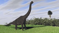 Large Brachiosaurus in a Field Fine Art Print