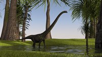 Mamenchisaurus Walking through Swamp Fine Art Print
