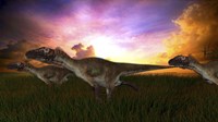 Three Utahraptors Running at Sunset Fine Art Print