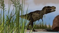 T-Rex Hunting Fine Art Print