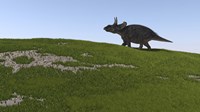 Triceratops Walking Across a Grassy Field Fine Art Print