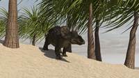 Triceratops Walking in a Tropical Environment Fine Art Print