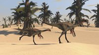 Two Gigantoraptors in Desert Landscape Fine Art Print