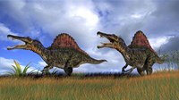 Two Spinosaurus Hunting Fine Art Print