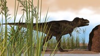 Tyrannosaurus Rex Hunting for Meal Fine Art Print