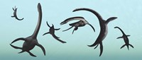 Plesiosaurs Gather Underwater Fine Art Print