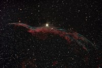 NGC 6960, The Western Veil Nebula Fine Art Print