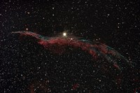 NGC 6960, The Western Veil Nebula by Rolf Geissinger - various sizes