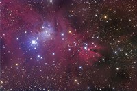 The Cone Nebula Fine Art Print