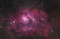 The Lagoon Nebula Fine Art Print