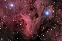 The Pelican Nebula Fine Art Print