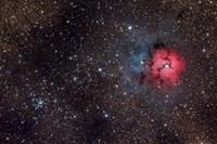 The Trifid Nebula Fine Art Print