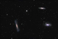 Leo Triplet Fine Art Print