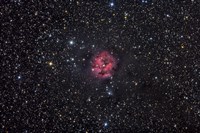 The Cocoon Nebula Fine Art Print