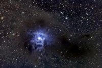 The Iris Nebula Fine Art Print