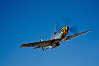 A P-51D Mustang Kimberly Kaye Fine Art Print