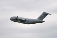 A C-17 Globemaster III Fine Art Print