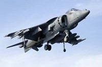 An AV-8B Harrier Fine Art Print