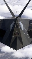 The F-117A Nighthawk Fine Art Print